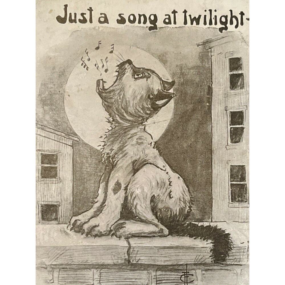 Antique 1911 Postcard Howling Cat On Wall I. Phillips Artist Humor Whimsical GUC